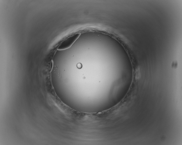 X0000113121496200908281425