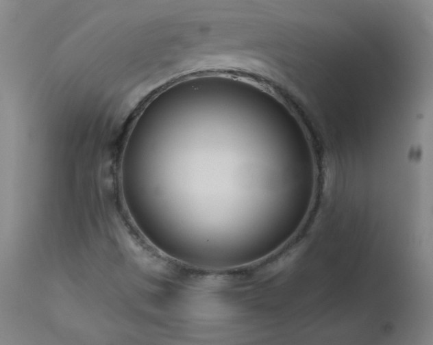 X0000113121497200908281425