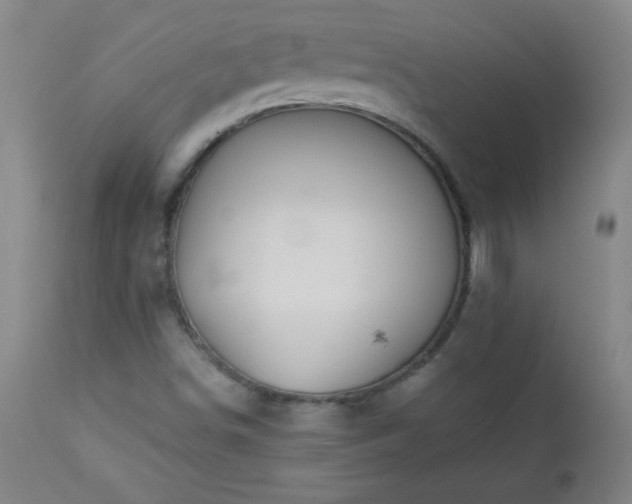 X0000113121498200908281425