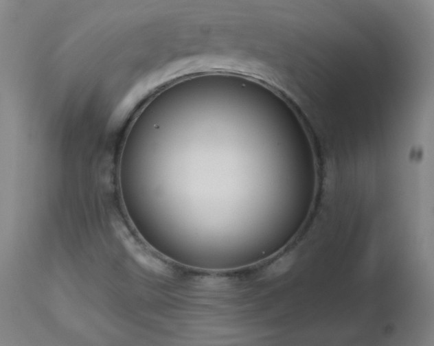 X0000113121499200908281425