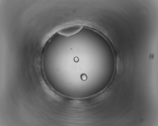 X0000113121500200908281426