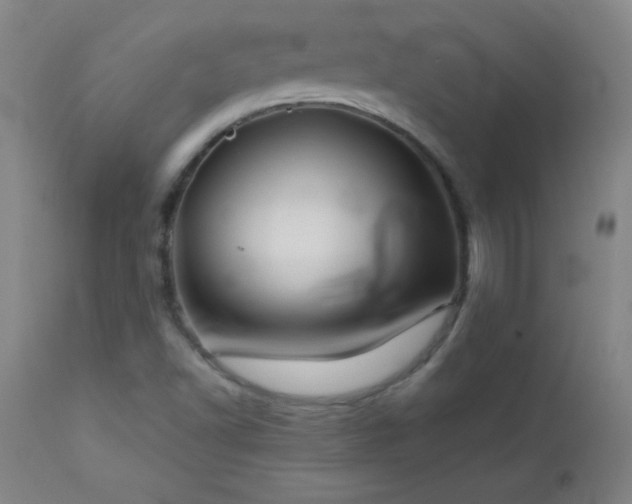 X0000113121502200908281426