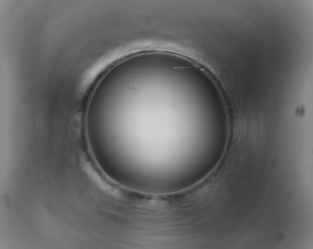 X0000113121503200908281426