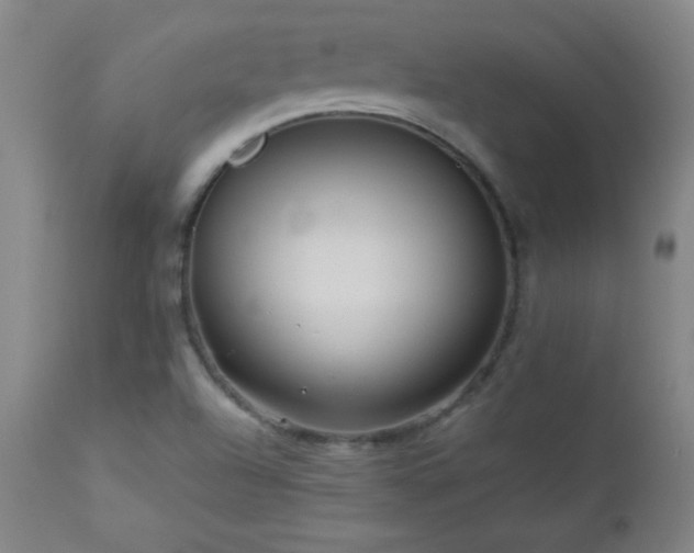 X0000113121504200908281426