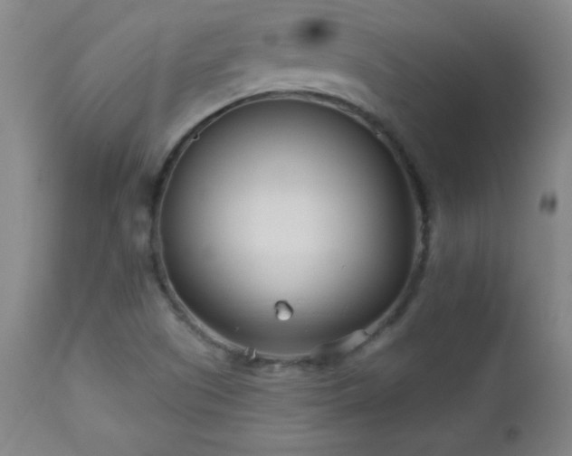 X0000113121505200908281426