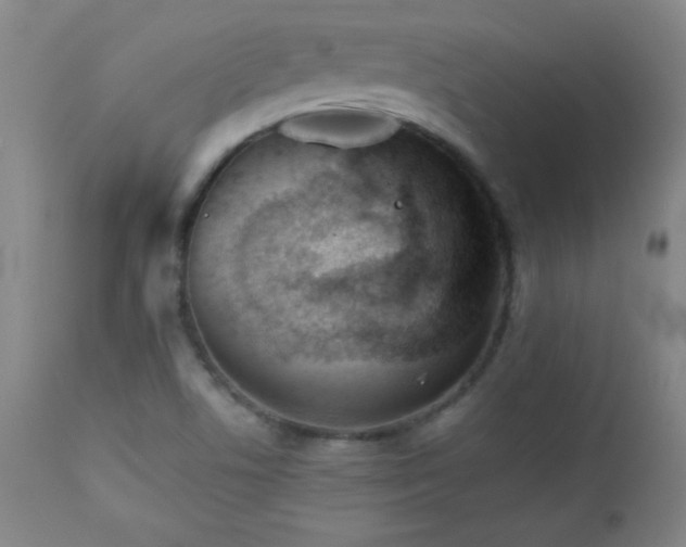 X0000113121506200908281426