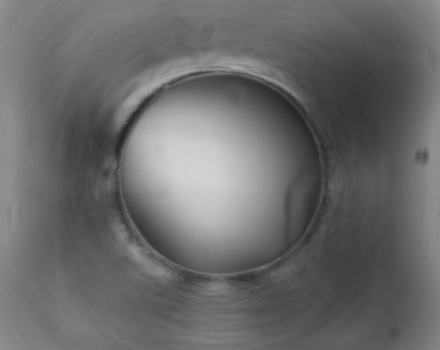 X0000113121507200908281426