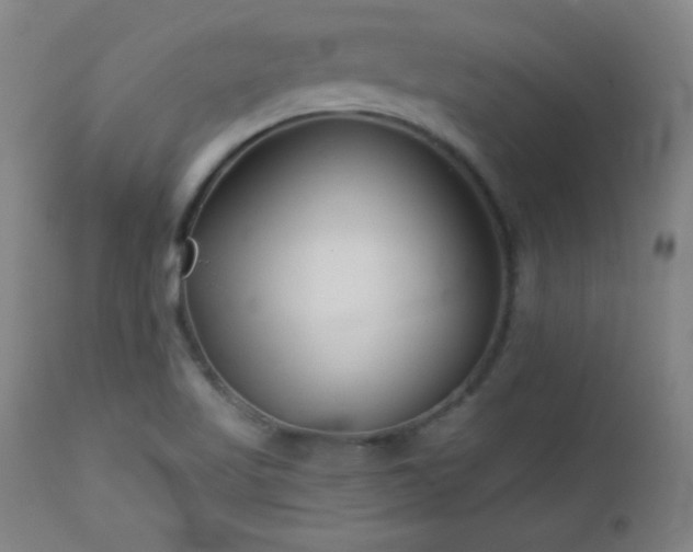 X0000113121509200908281426
