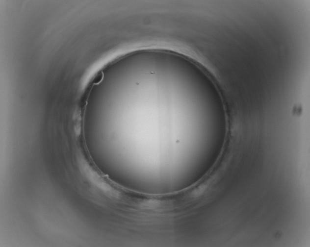 X0000113121510200908281426