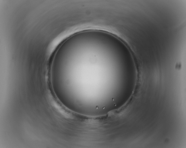 X0000113121511200908281426