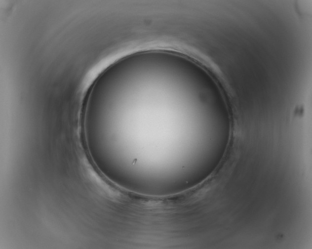 X0000113121512200908281426