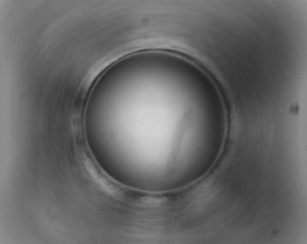X0000113121513200908281426