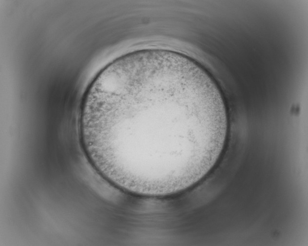 X0000113121514200908281426