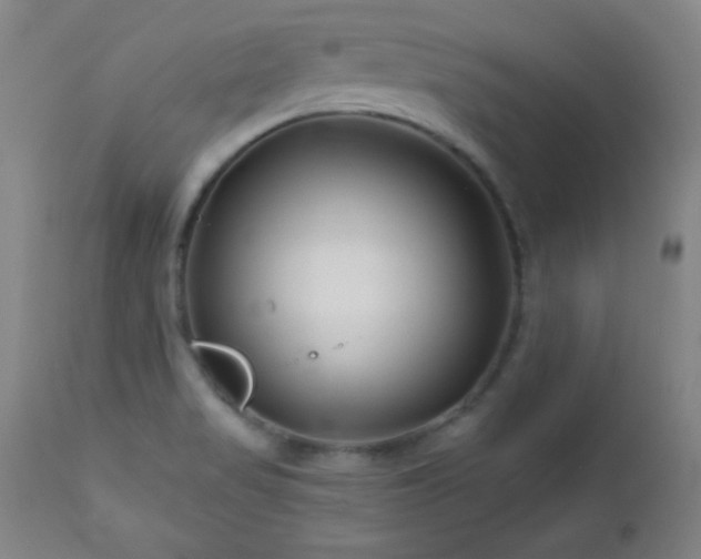 X0000113121517200908281426
