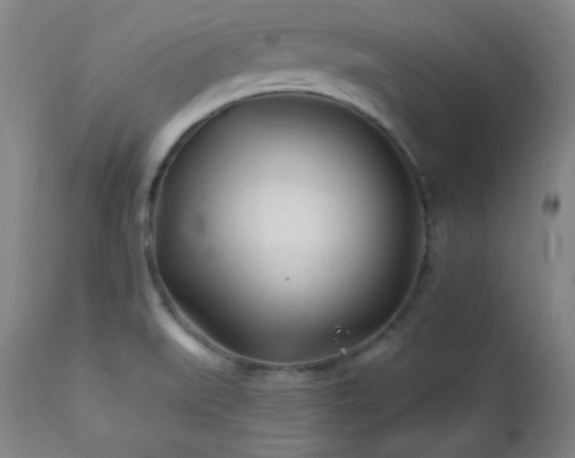 X0000113121519200908281426