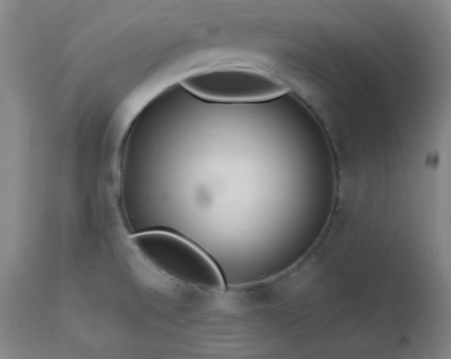 X0000113121520200908281426