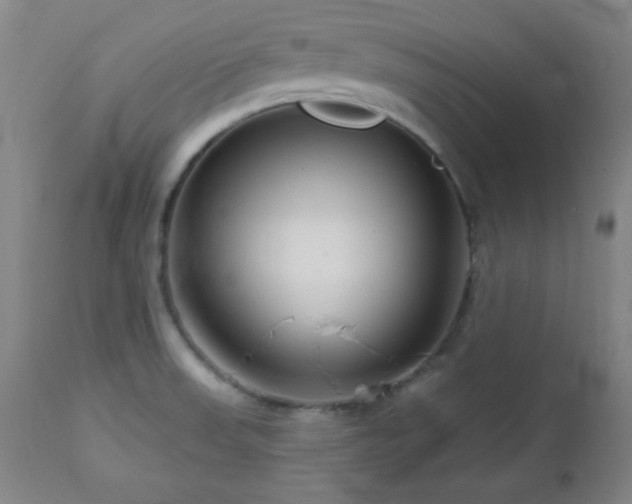 X0000113121523200908281426