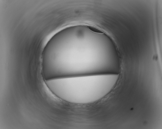 X0000113121524200908281426