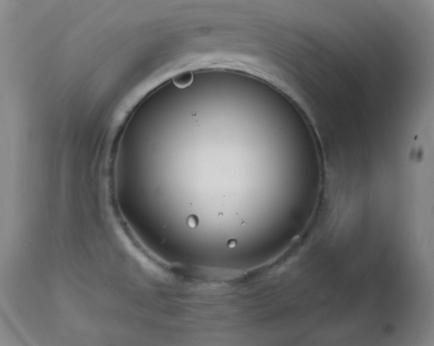 X0000113121525200908281426