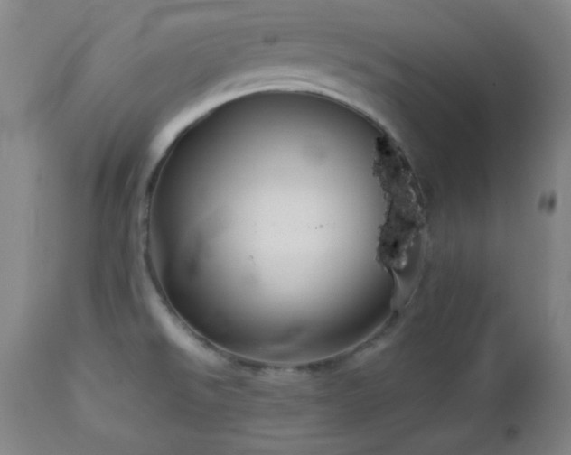 X0000113121526200908281426