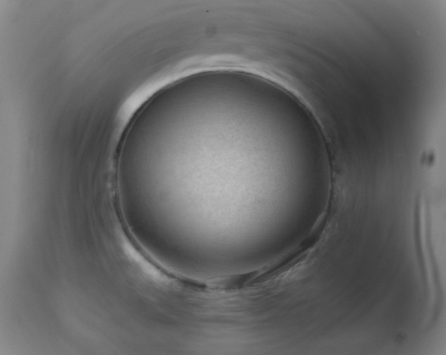 X0000113121527200908281426