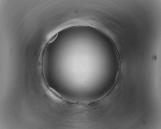X0000113121528200908281426