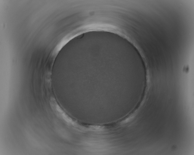 X0000113121529200908281426