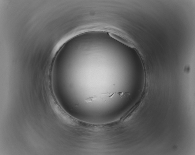 X0000113121530200908281426
