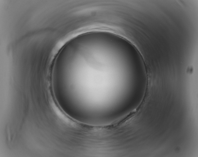 X0000113121531200908281426