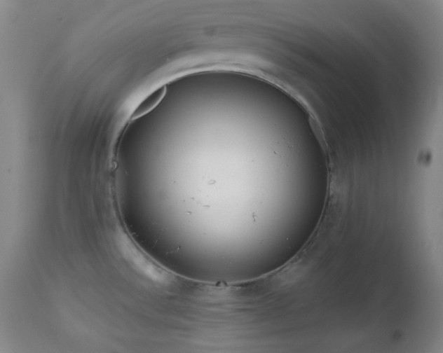 X0000113121532200908281426