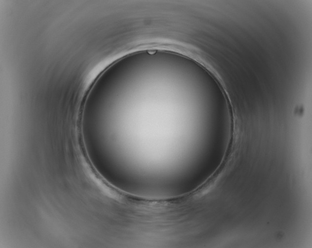 X0000113121533200908281426