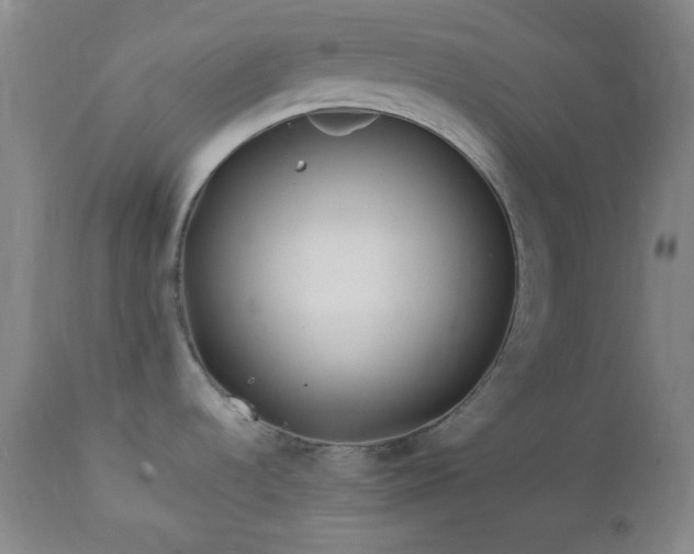 X0000113121536200908281426