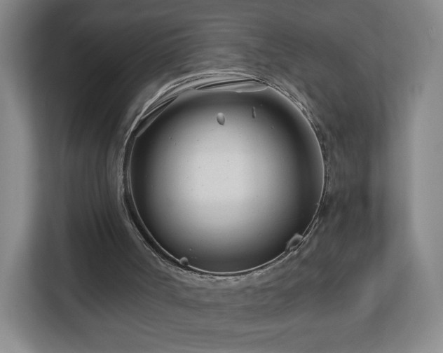 X0000113120002200909041315