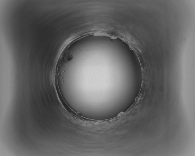 X0000113120003200909041315