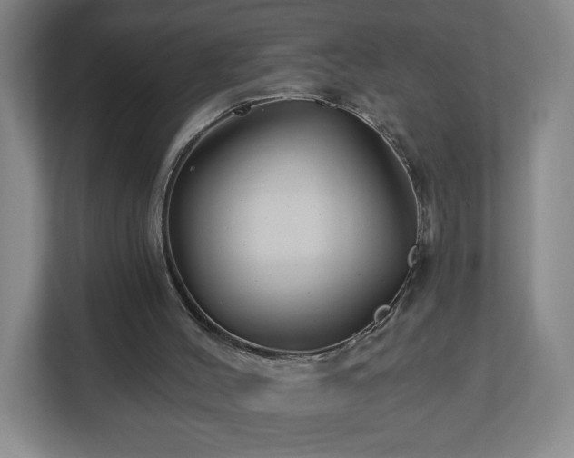 X0000113120004200909041315