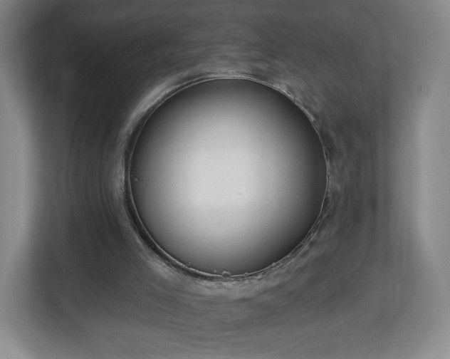 X0000113120005200909041315