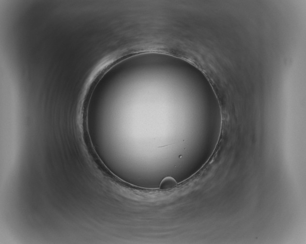 X0000113120006200909041315