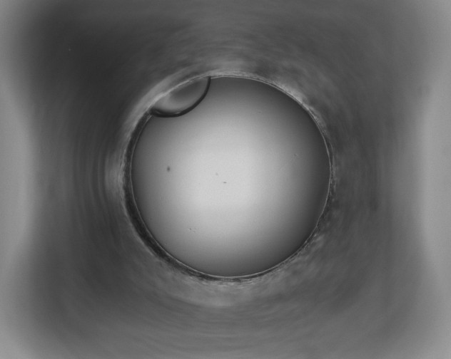 X0000113120007200909041315