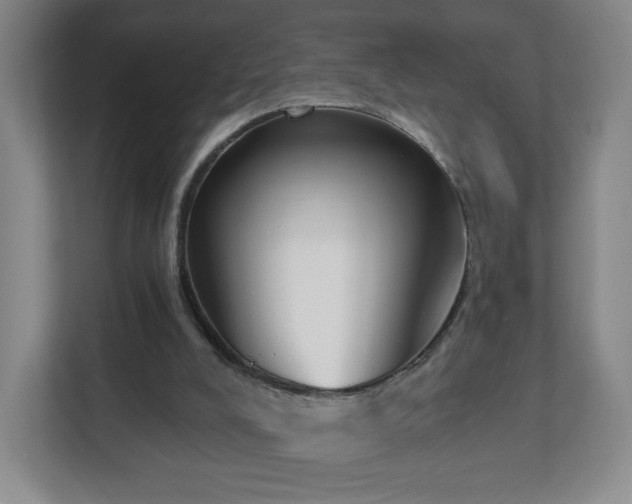 X0000113120008200909041315