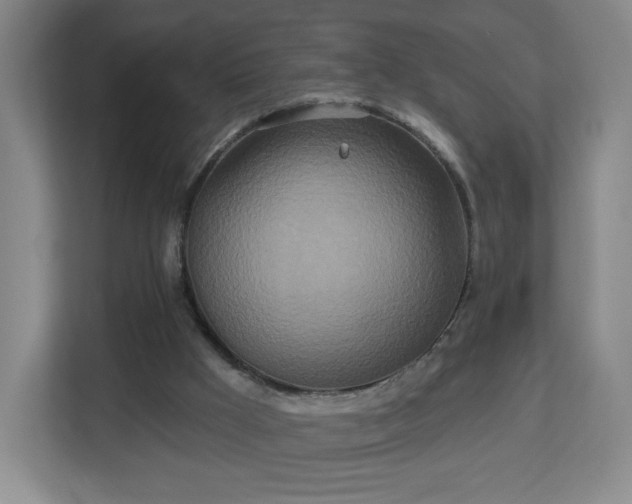 X0000113120009200909041315