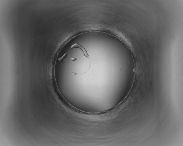 X0000113120010200909041315