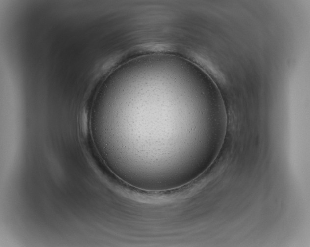 X0000113120014200909041315