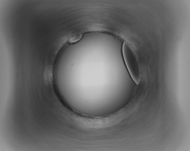 X0000113120015200909041315