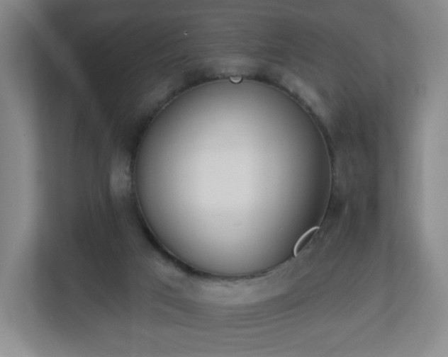 X0000113120017200909041315