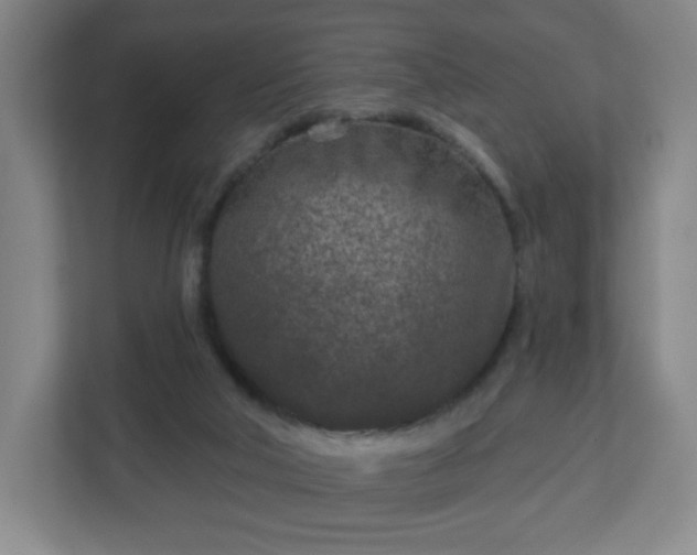 X0000113120018200909041315