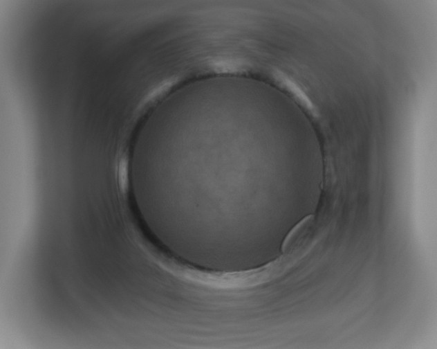 X0000113120019200909041315