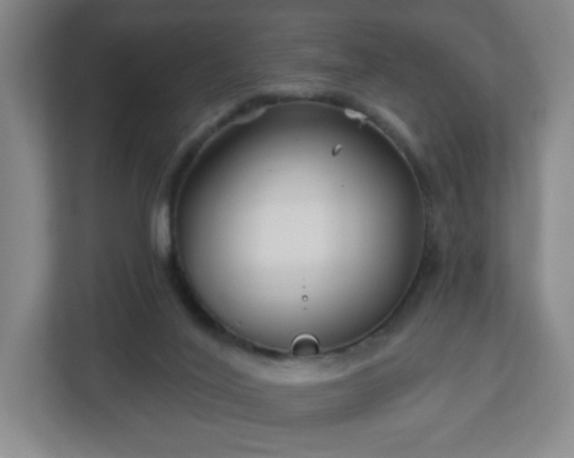 X0000113120020200909041315