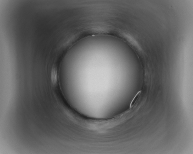 X0000113120021200909041315