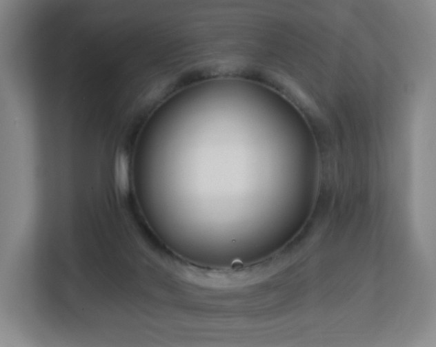 X0000113120022200909041315