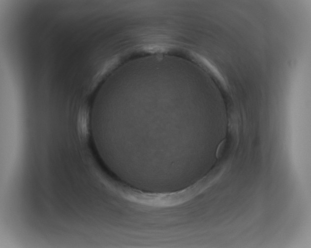 X0000113120023200909041315